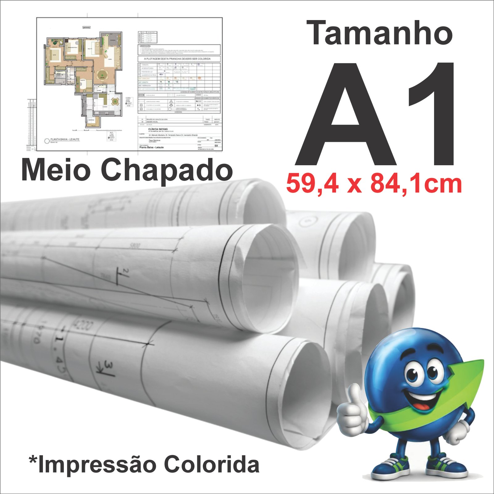 PLANTA A1 MEIO CHAPADO PRETO E COR 75G SULFITE