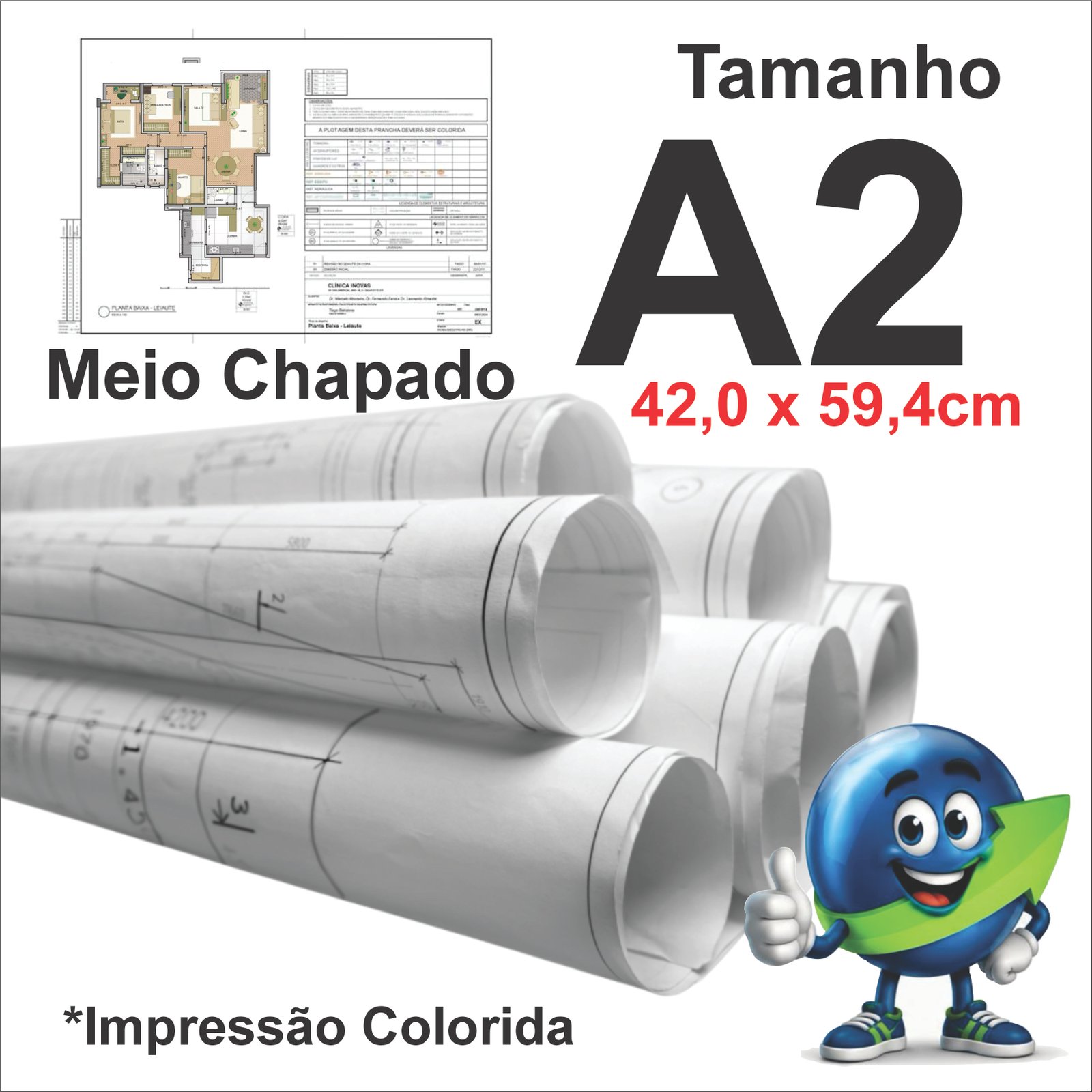 PLANTA A2 MEIO CHAPADO PRETO E COR 75G SULFITE