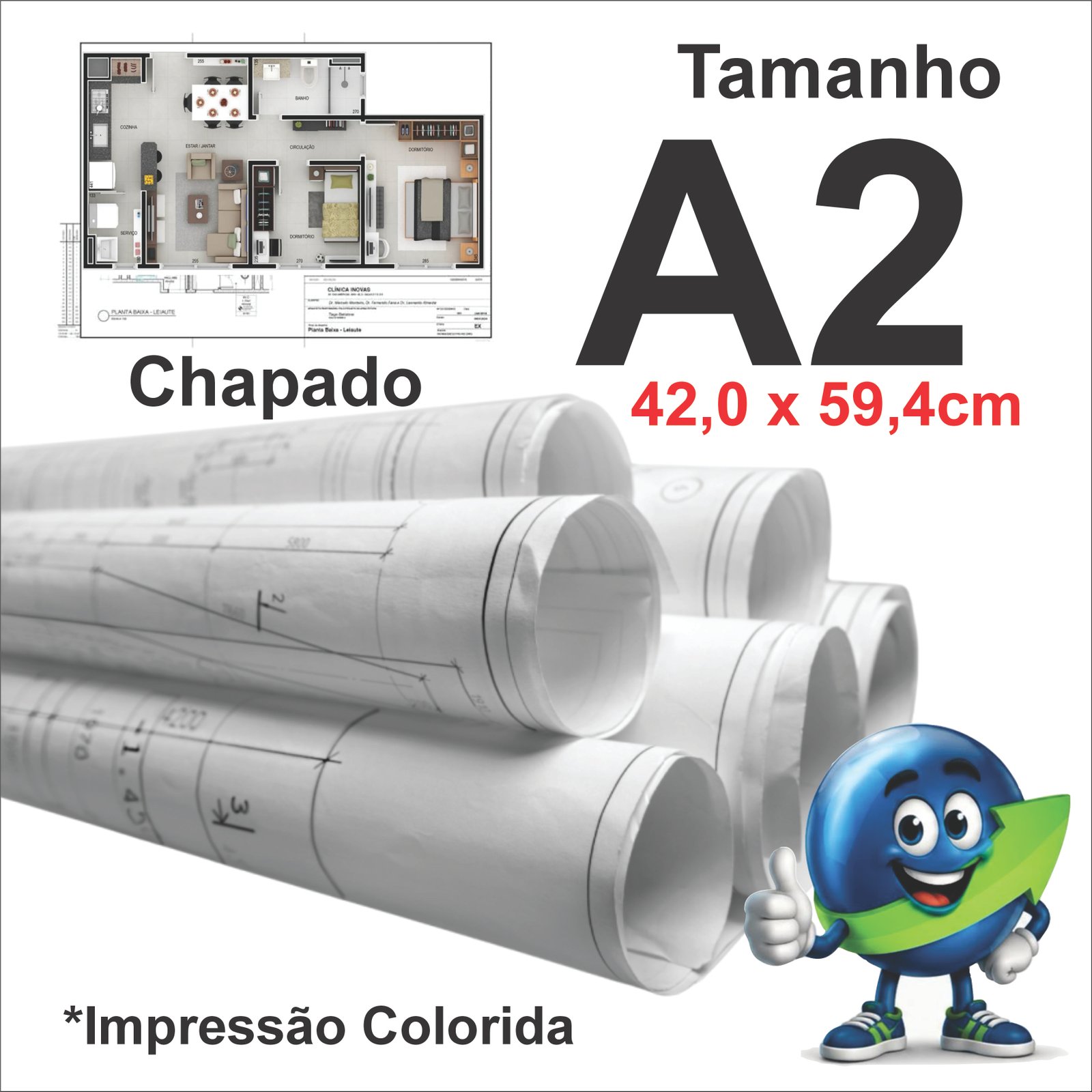 PLANTA A2 CHAPADO PRETO E COR 75G SULFITE