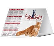 1000 - CALENDÁRIO DE MESA - COUCHÊ 250g