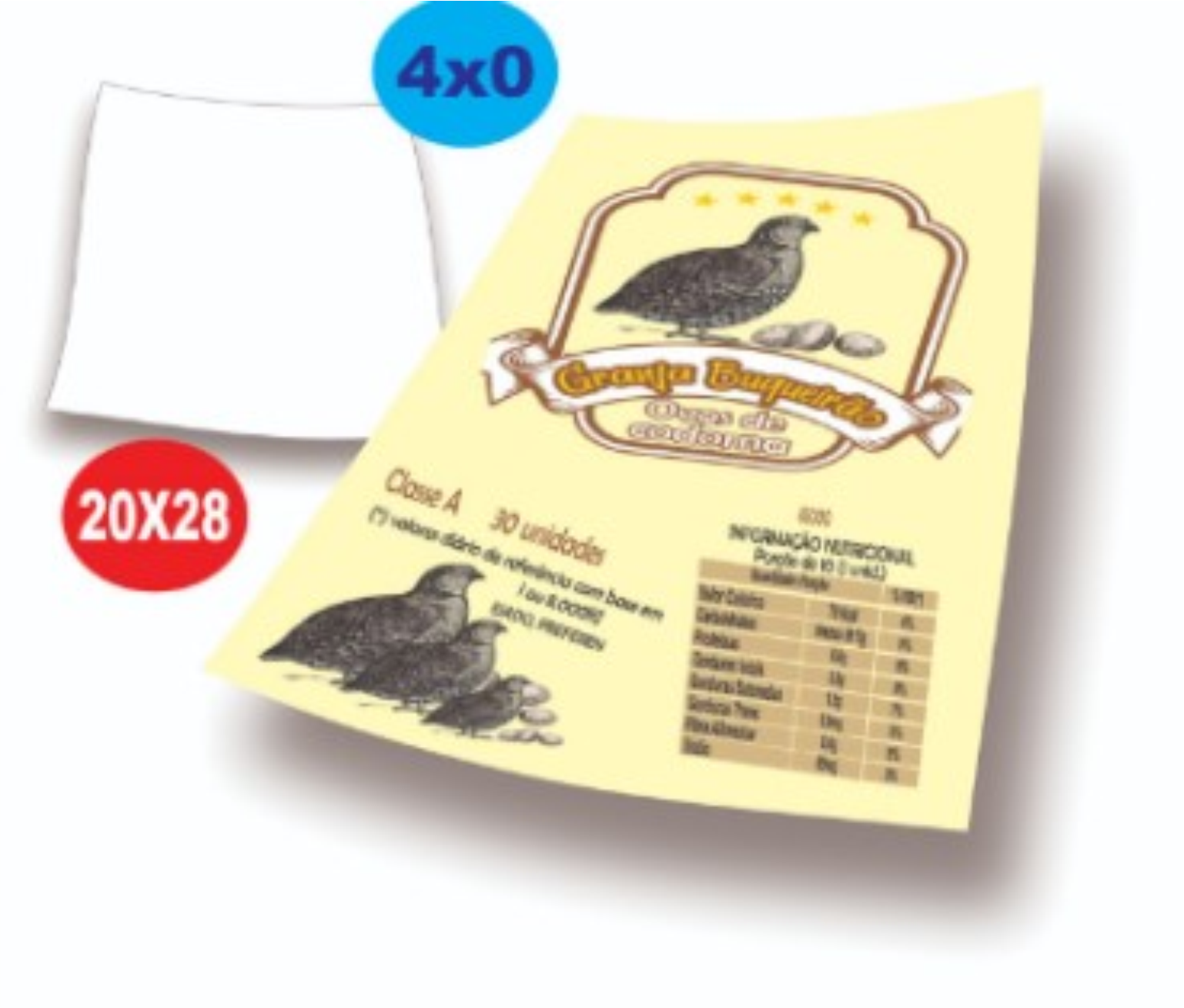 10.000 PANFLETOS 20X28 90G 4X0