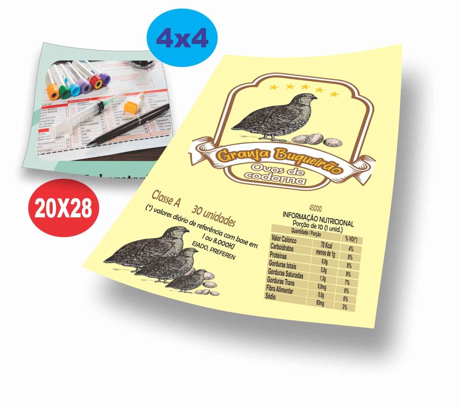 10.000 PANFLETOS 20X28 90G 4X4